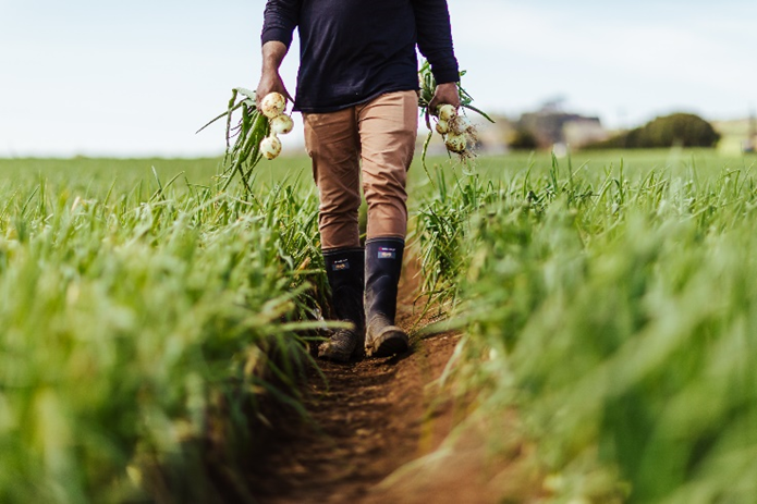 A farmer walking through a field. 