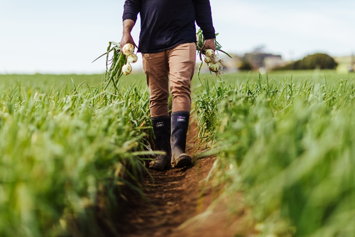A farmer walking through a field.