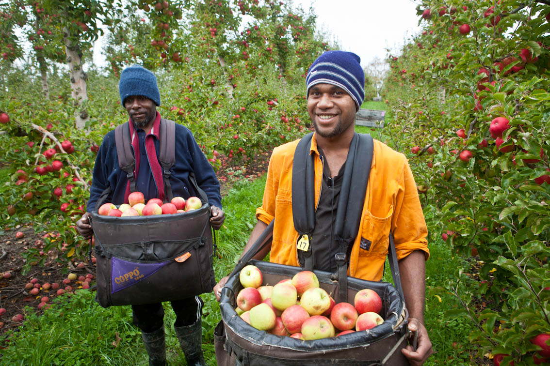 An image of two RSE workers holding baskets of apples.