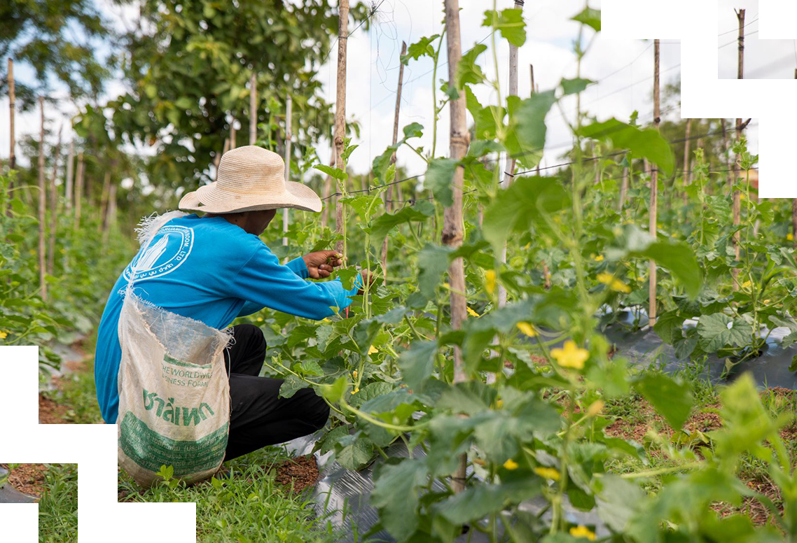 Horticulture worker. 