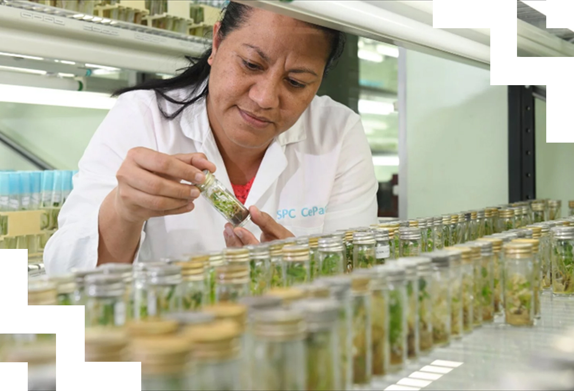 A woman working with test tubes in a lab. 