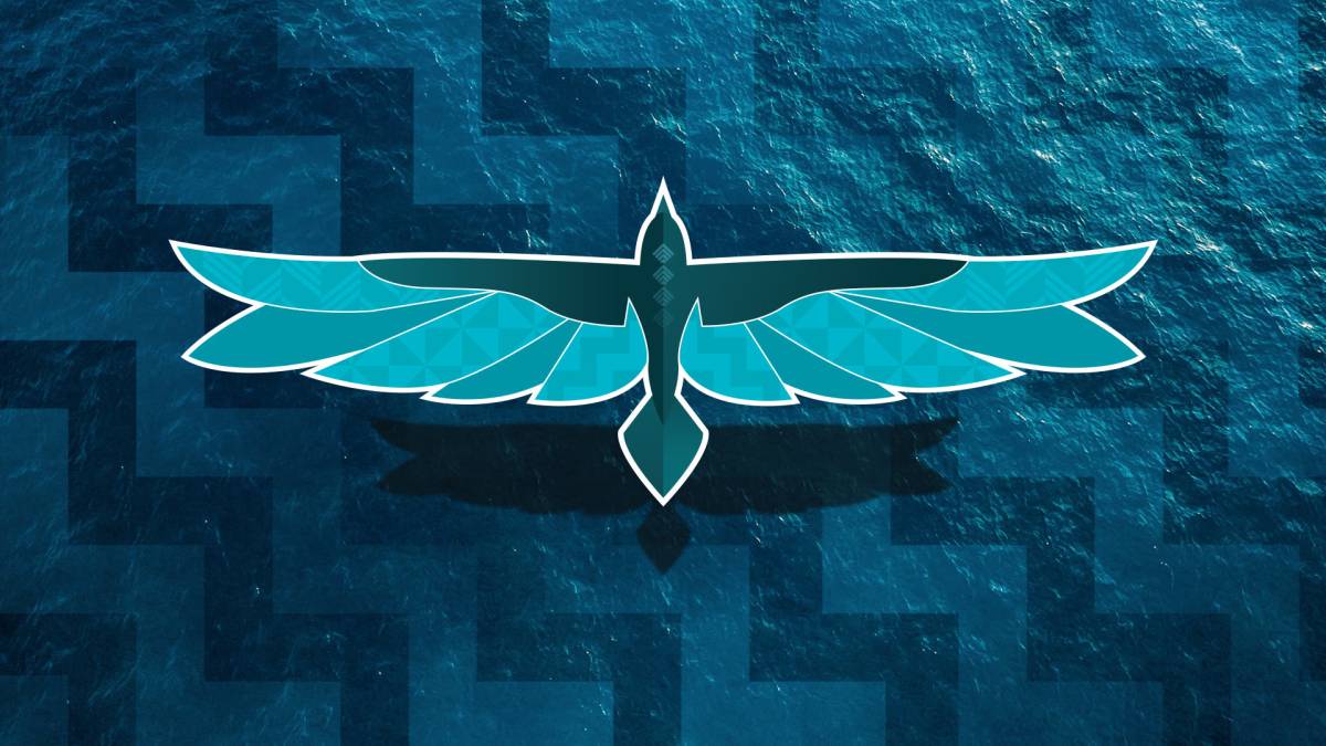 The wayfinder bird.