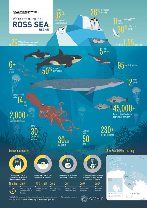 A graphic image titled 'we're protecting the Ross Sea region', with statistics of animals and aquatic life that depend on the Ross Sea region for the habitat and food supply. . 