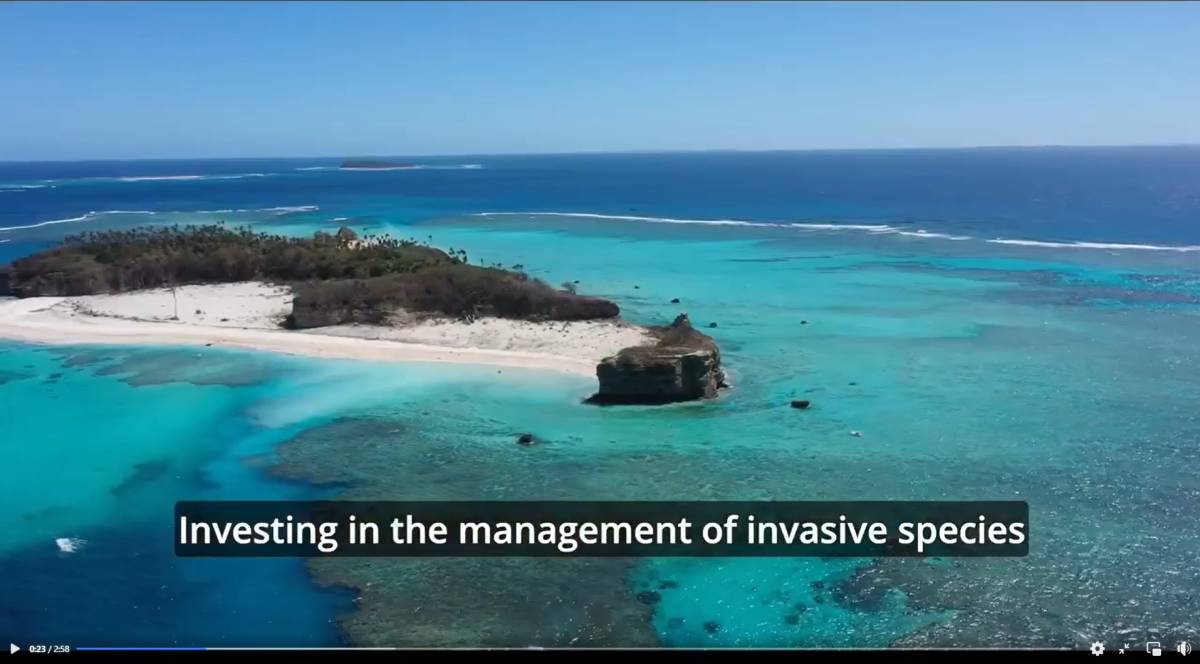 A screengrab of a video, with a Pacific atoll visible. Closed captioning reads: 'Investing in the management of invasive species'.. 