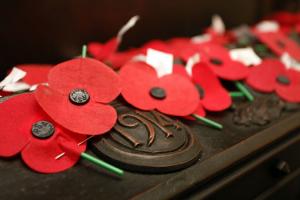 Pic of red poppies. 