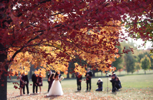 A wedding in a park. 