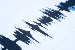 seismic waves.