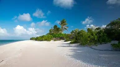 A beach scene in the Marshall Islands.