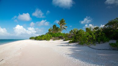 A beach scene in the Marshall Islands. 