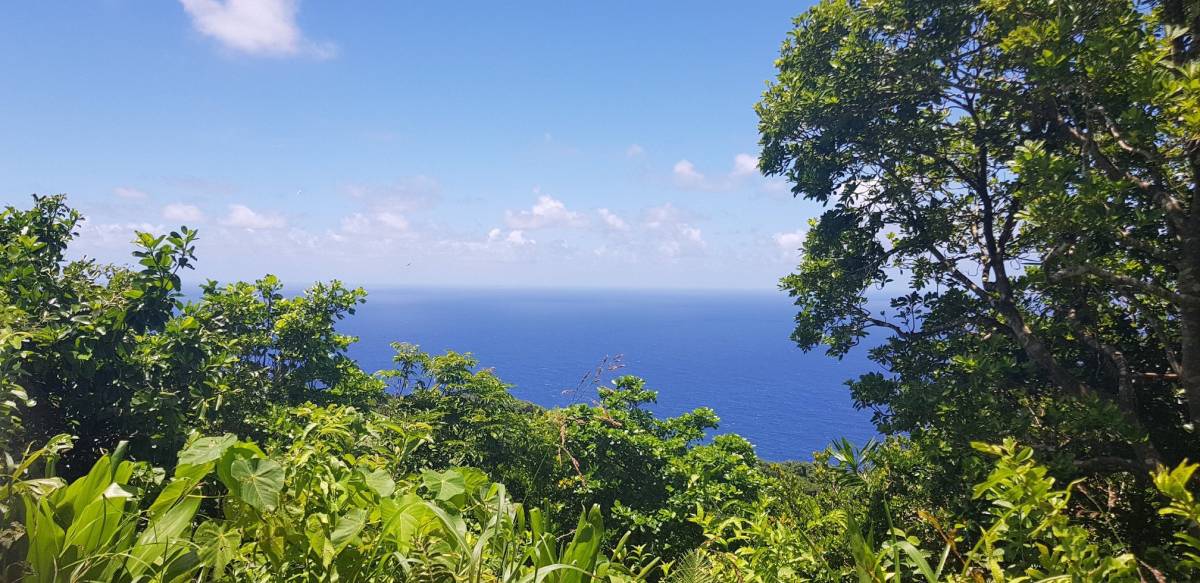 Sea view in Tonga. 