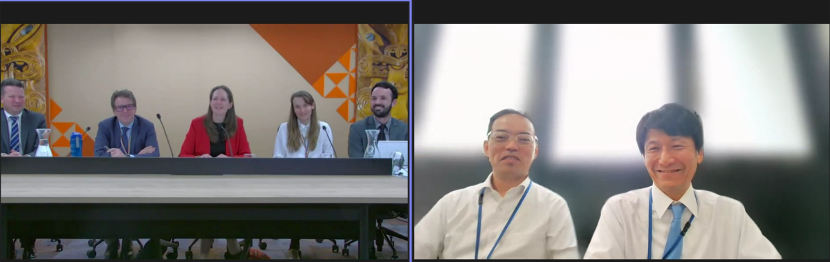 Screen shot of zoom meeting..