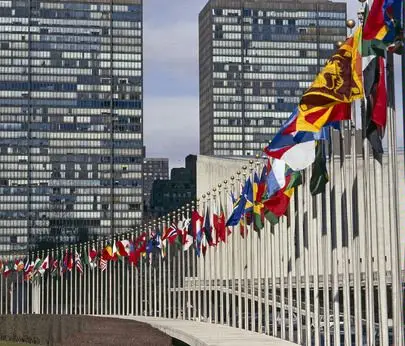 UN Flags outside UN Building.