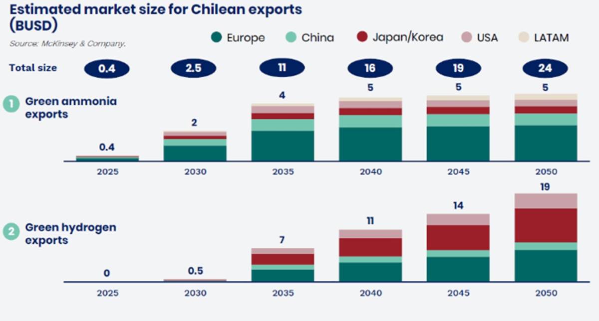 Estimated market size for Chilean exports.