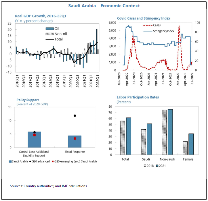 Multiple graphs showing information which makes up the overall Economic Context for Saudi Arabia, including GDP growth, Covid cases, Policy support and Labour Participation rates.. 