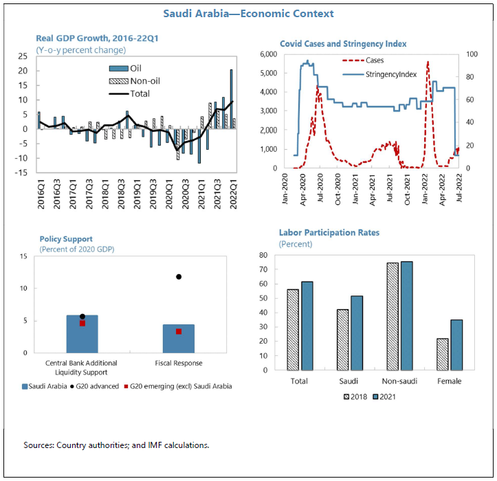 Multiple graphs showing information which makes up the overall Economic Context for Saudi Arabia, including GDP growth, Covid cases, Policy support and Labour Participation rates..