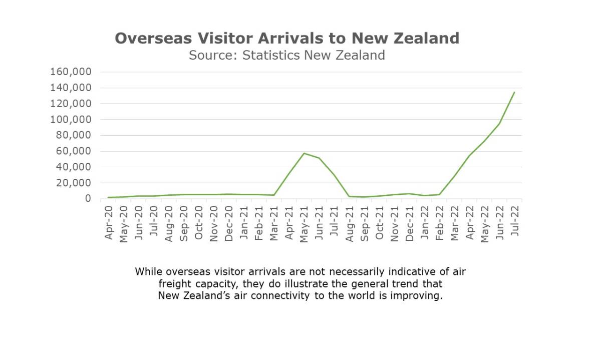 A graph showing overseas visitor arrivals to NZ.