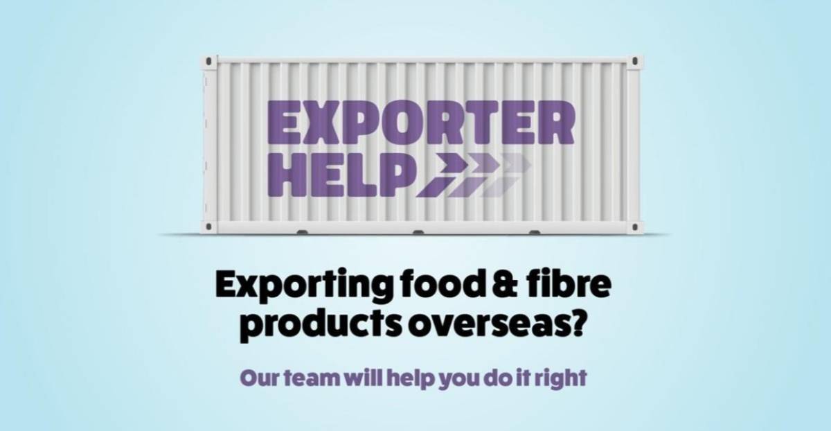 Our team will help you do it right.