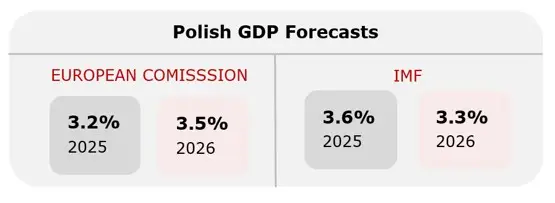 Polish GDP forecasts. 