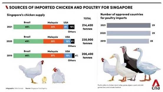Sources of imported chicken and poultry for Singapore.