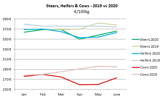 A graph showing steer, heifers and cows - 2019 v. 2020. 