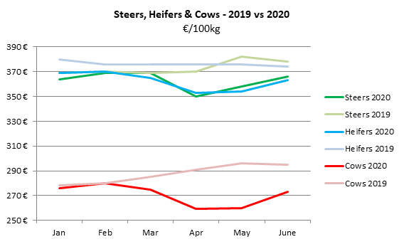 A graph showing steer, heifers and cows - 2019 v. 2020. 