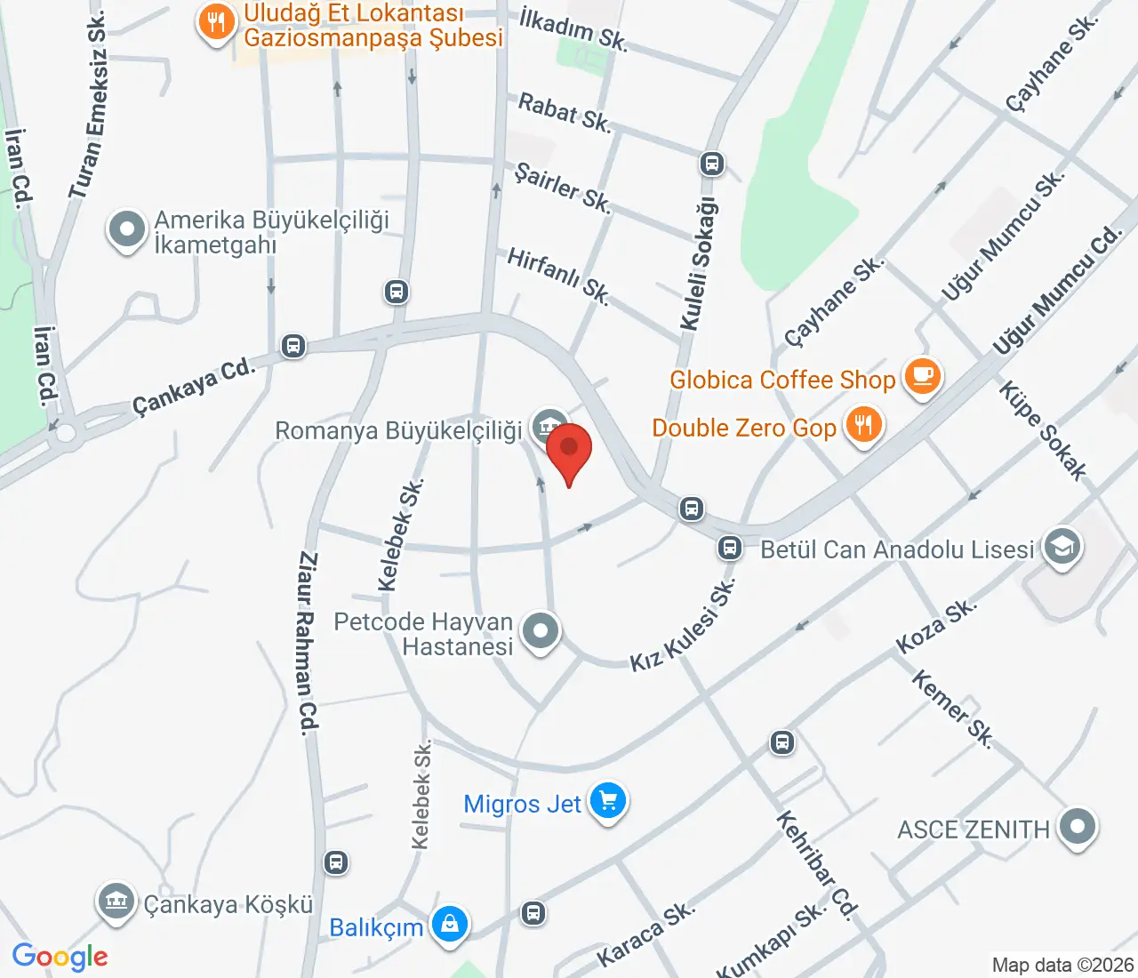 map-New+Zealand+Embassy+to+TC3BCrkiye-1791014471.png
