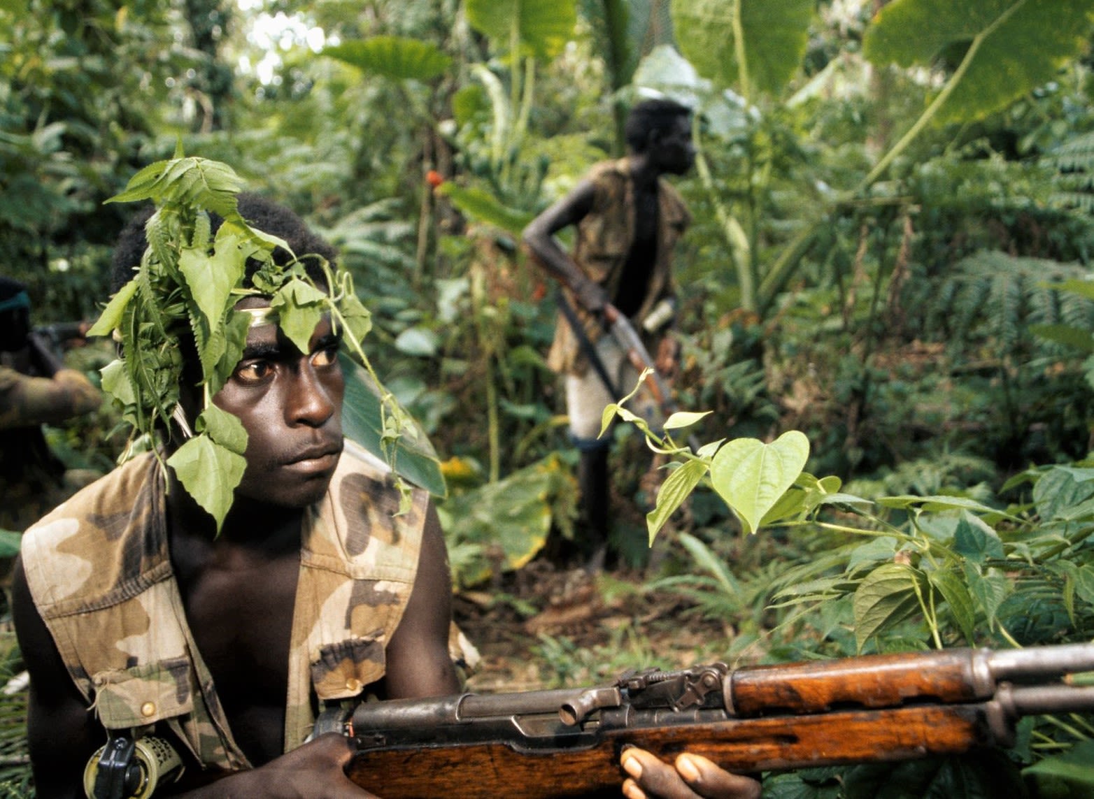 Jungle scene of three soldiers in camouflage clothing. 